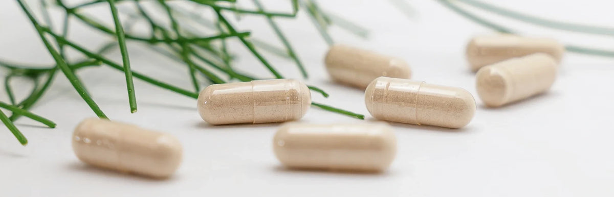 Doğal Testosteron Desteği Ürünleri Nasıl Seçilir?