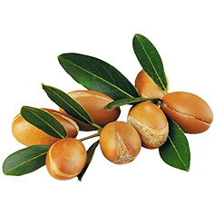 Hint Yağı